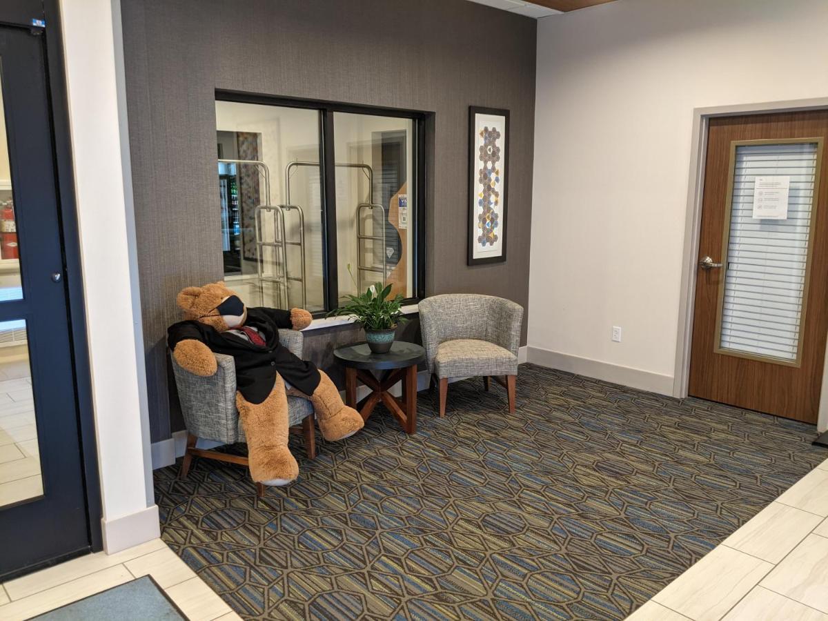 Holiday Inn Express South Burlington By Ihg Extérieur photo